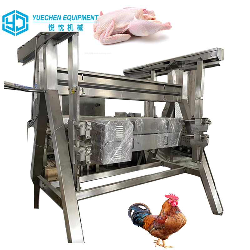 Guinea Complete Automatic Electric Poultry Chicken Slaughter Transfer Line Chain Abattoir Equipment