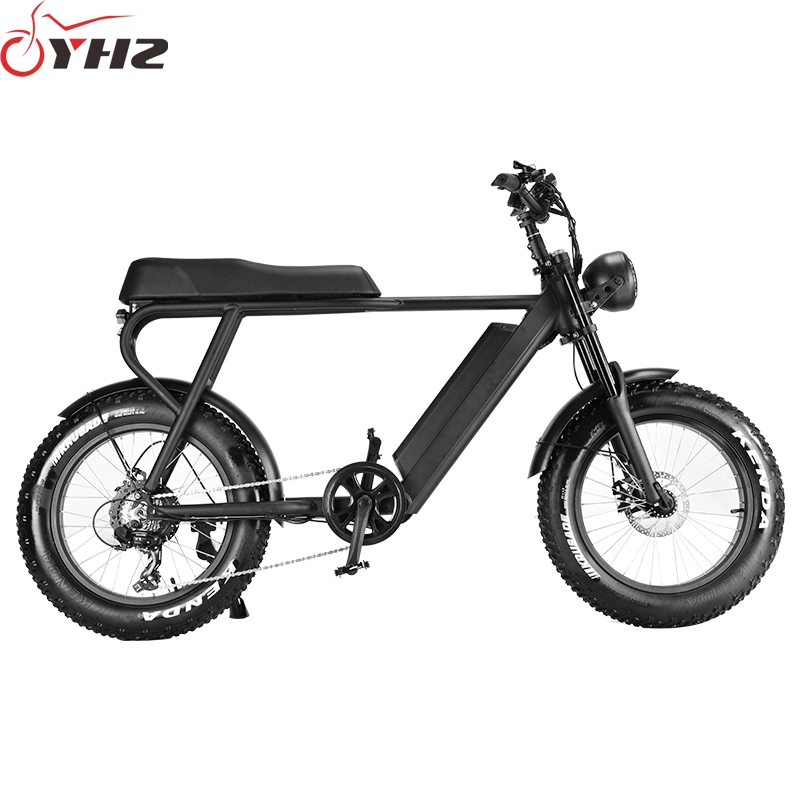 750W Adult Electric Bike USA Warehouse Spot DDP Shipment with 20-Inch Tire