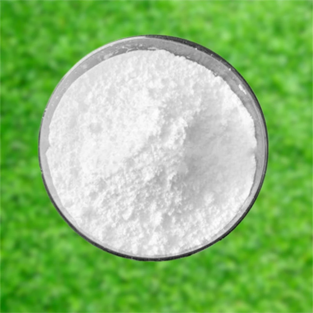 Organic Intermediate 4-Bromopyridine Hydrochloride CAS 19524-06-2 for Pharmaceutical Raw Material