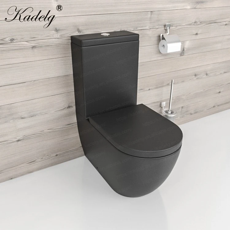 Watermark Toilet Porcelain Bathroom Toilet Matte Black Two Piece Toilet