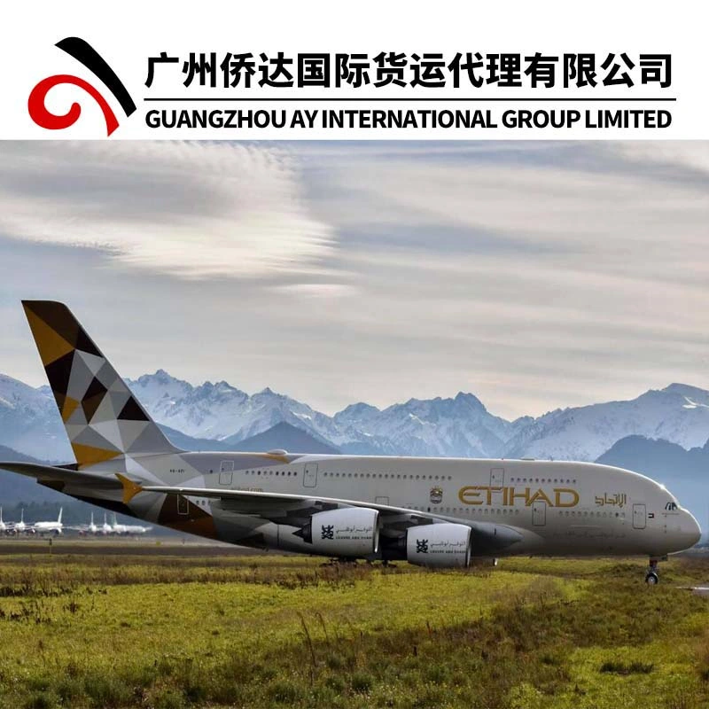 Transporte aéreo de carga aérea de Shenzhen a Dubai por DHL/TNT/UPS/FedEx/1688 Alibaba Express