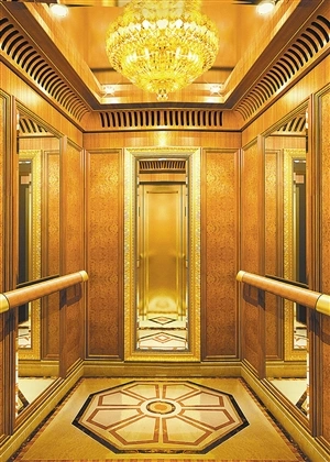 Home Passenger Lift Villa Residential Elevator with Stable Quality