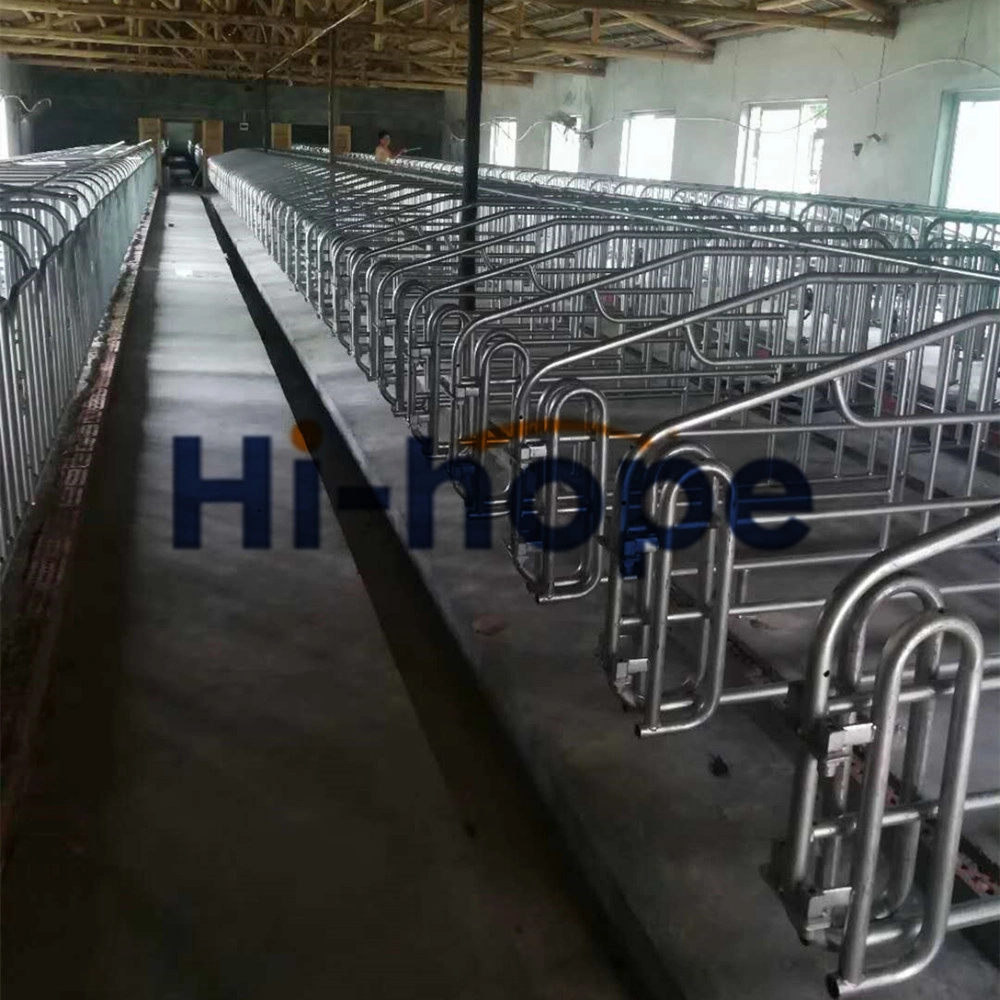 Pig Farm Design Pig Farming Business Plan Farrowing Pen Gestation Pen