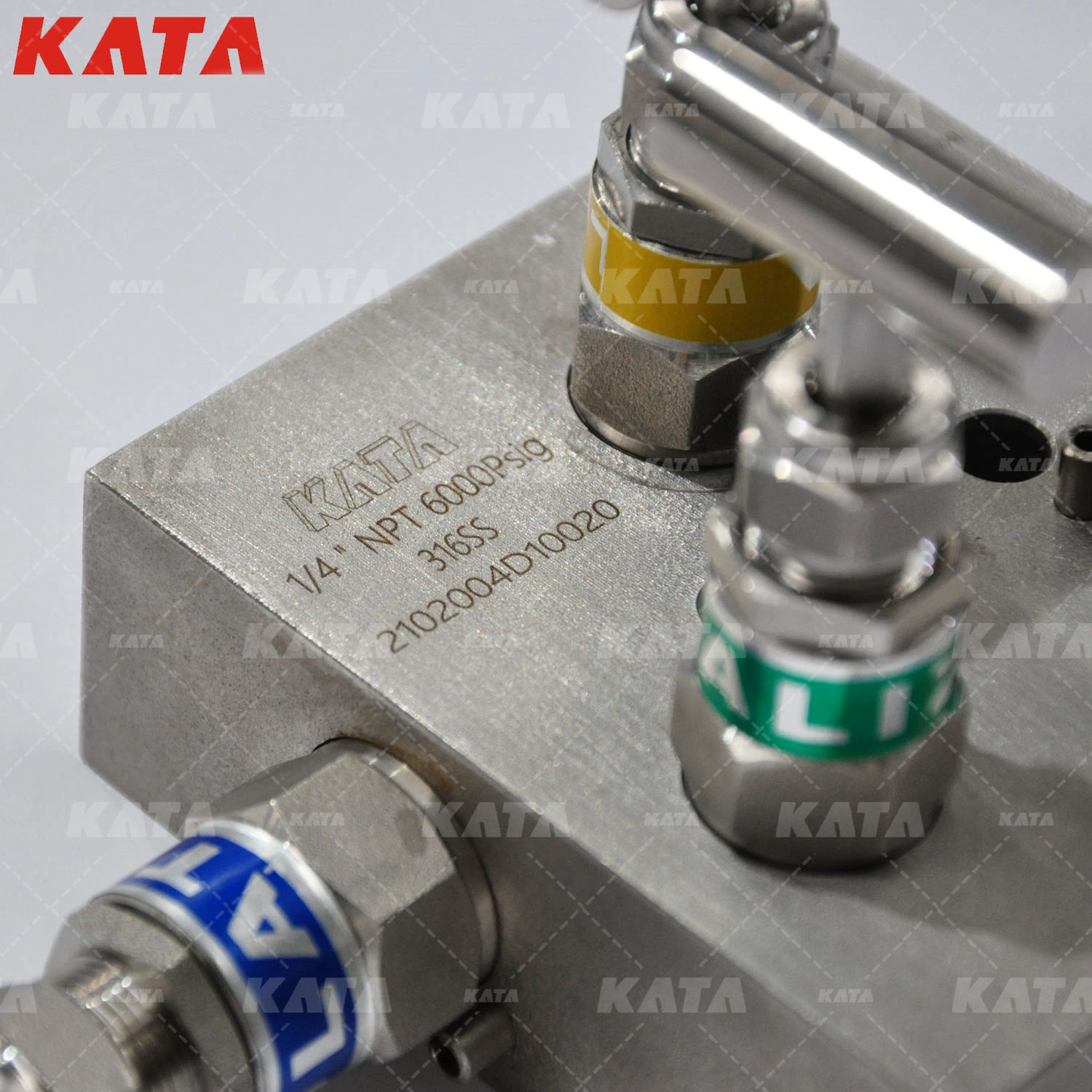 Double Block Female NPT Flange Valves Five Way Manifolds