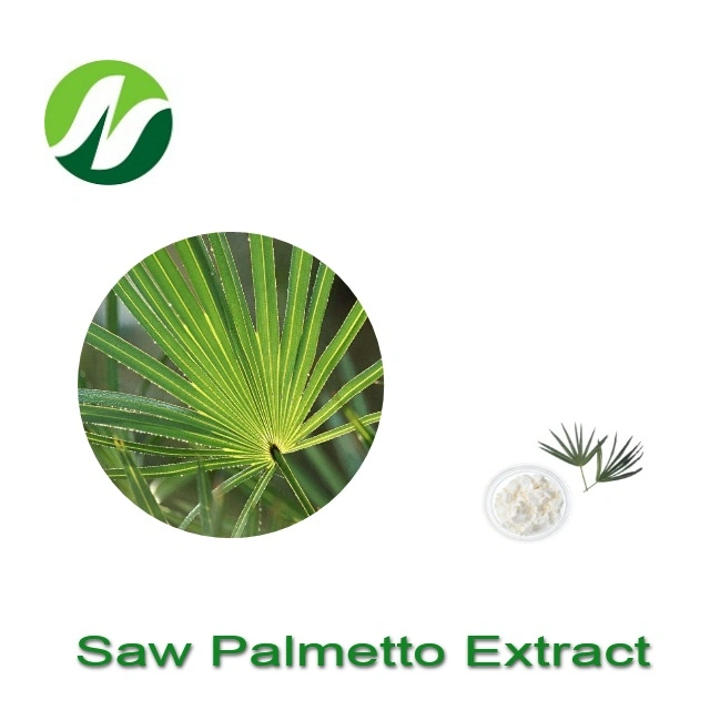 Les acides gras de la nature de haute qualité 25%~90 % Saw Palmetto Extrait en poudre
