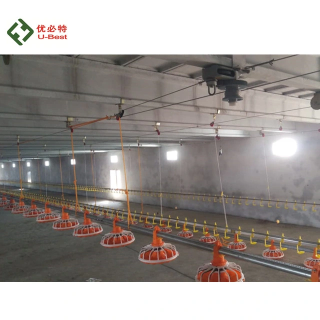 Full-Automatic Prefab Steel Poultry Farming Building for Broiler Breeder Chicken