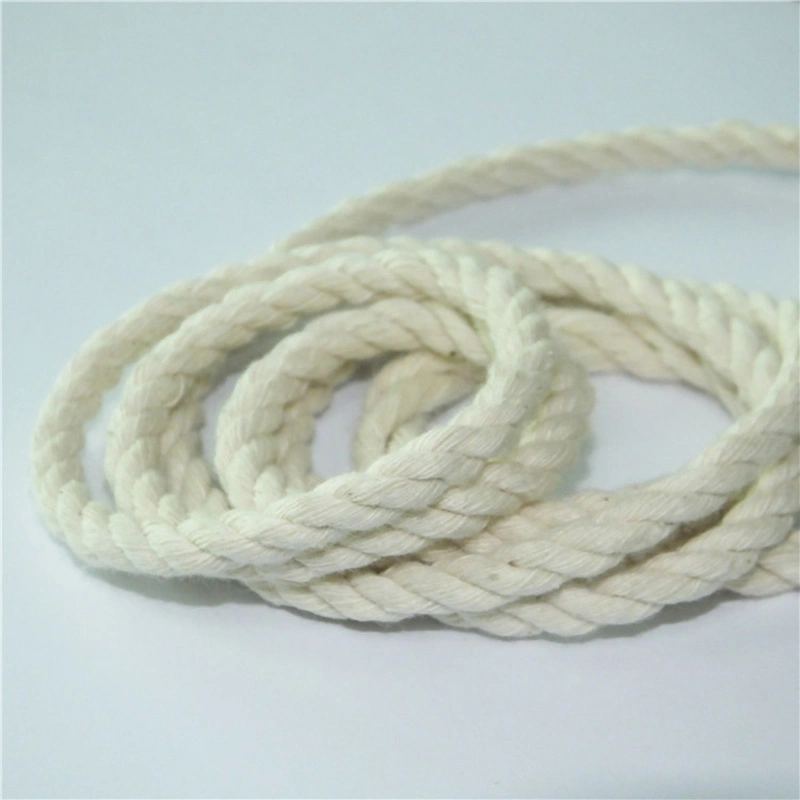 High Quality Polyester Macrame Cord 3mm 4mm 5 mm Single Strand Cotton Twisted Braided Rope