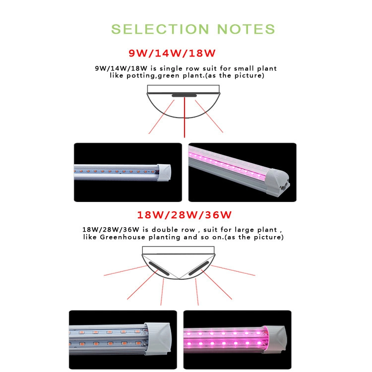 LED Grow Light Waterproof Phytolamp 2835 LEDs Chip Phyto Growth Lamp 265V Full Spectrum Plant Lighting for Indoor Plant