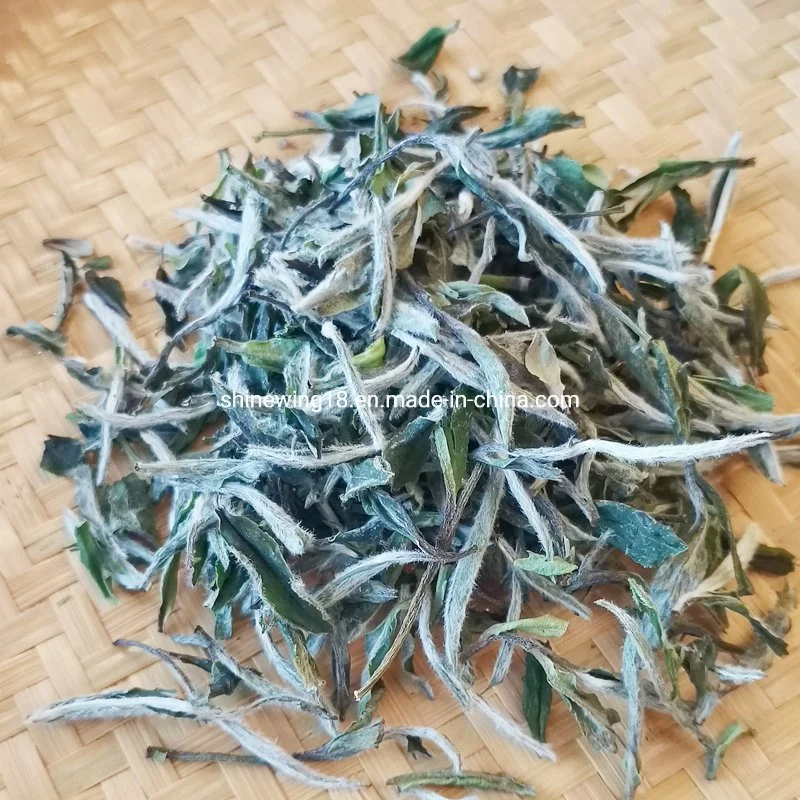 Premium Quality Chinese Organic White Tea Bai Mu Dan