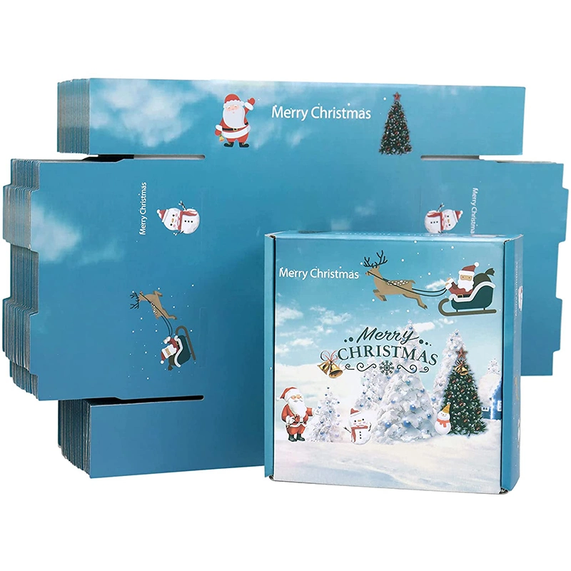 Full-Color Printing Blue Corrugated Carton for Christmas