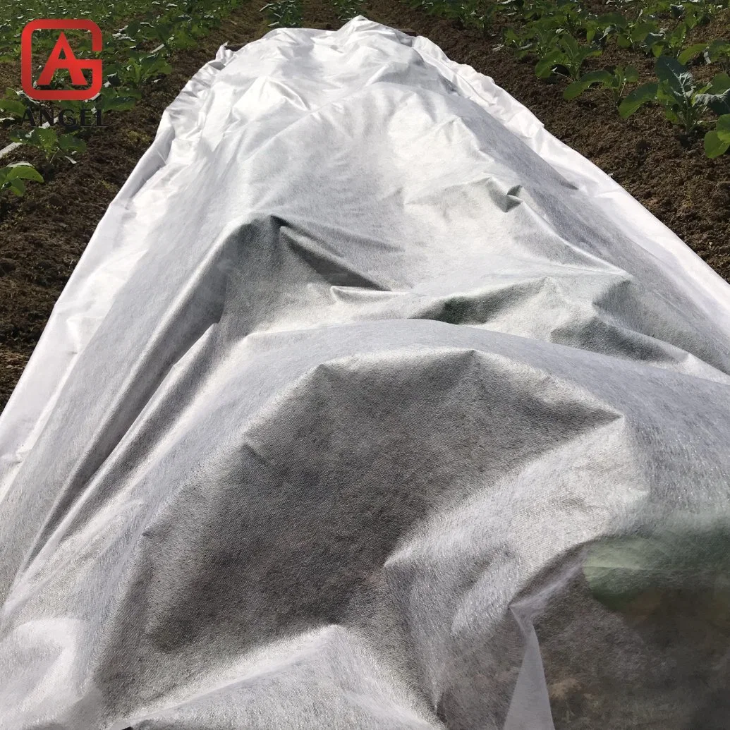 Add UV 100%PP Nonwoven Agriculture Cover Fabric