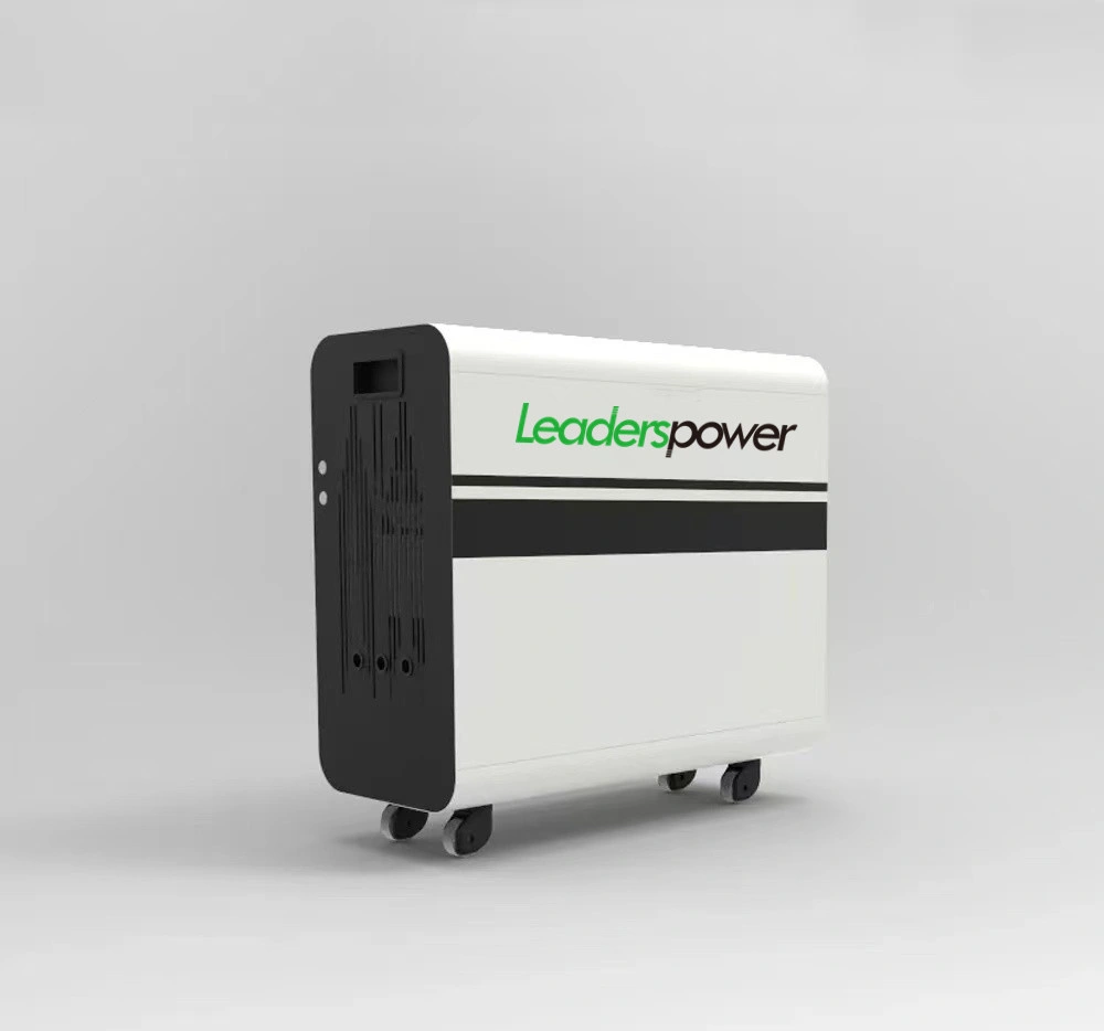 Leaderspower All-in-One Energy Storage System 48V Battery Hybrid Inverter with 100ah LiFePO4 Battery