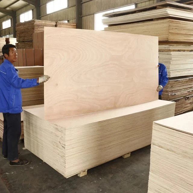 Veneer Construction Plywood Timber Commercial Plywood