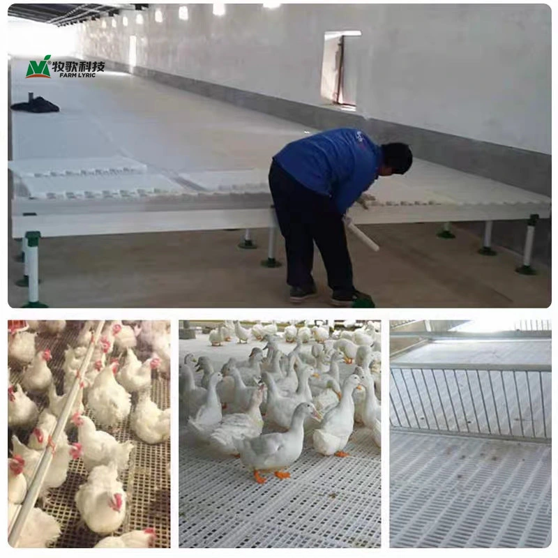 Farm Cleaning Equipment Chicken Plastic Slatted Floor