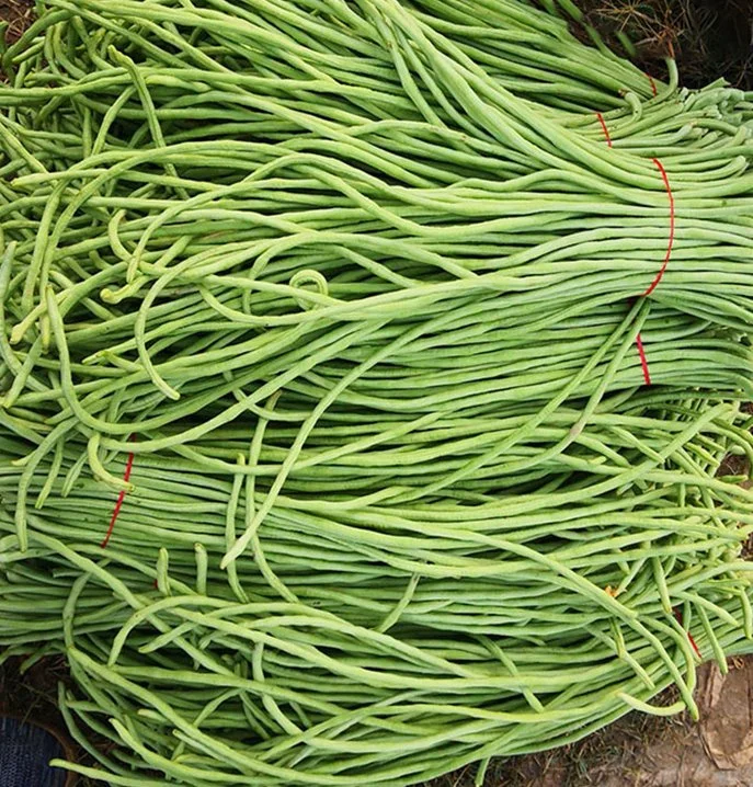 Tiras gruesas semillas de guisantes de piel verde y tierna