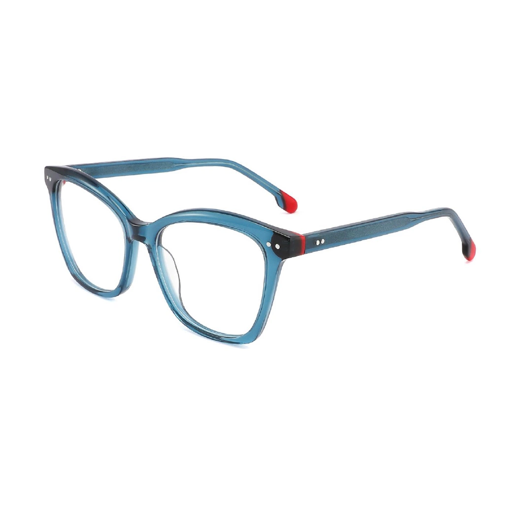 Popular Style Acetate Clear Designed Brand Ray-Ton Vision Optical Frame