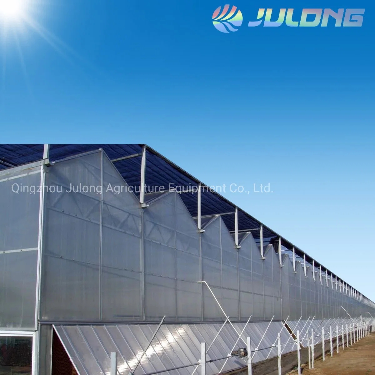 Venlo Type Polycarbonate Greenhouse for Garden House with CO2 Controller