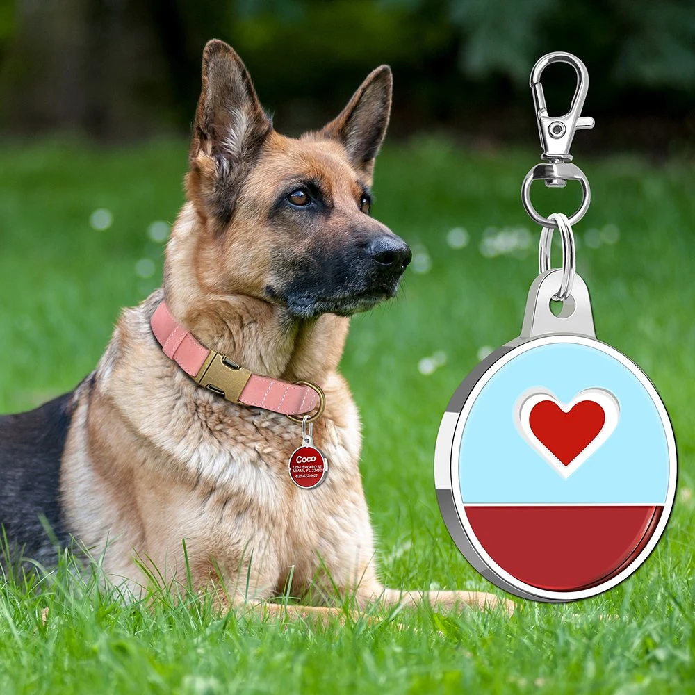 Personalisierter Hund ID Tag Personalisierte Metall Haustier Name QR-Code NFC-Dog-Tags