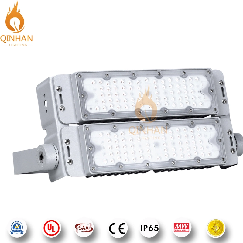 150lm/W 100W IP65 Waterproof LED Tunnel Flood Light Fixture for Outdoor Square Garden Park Aquarium Tennis Court High Mast Aquarium Lighting