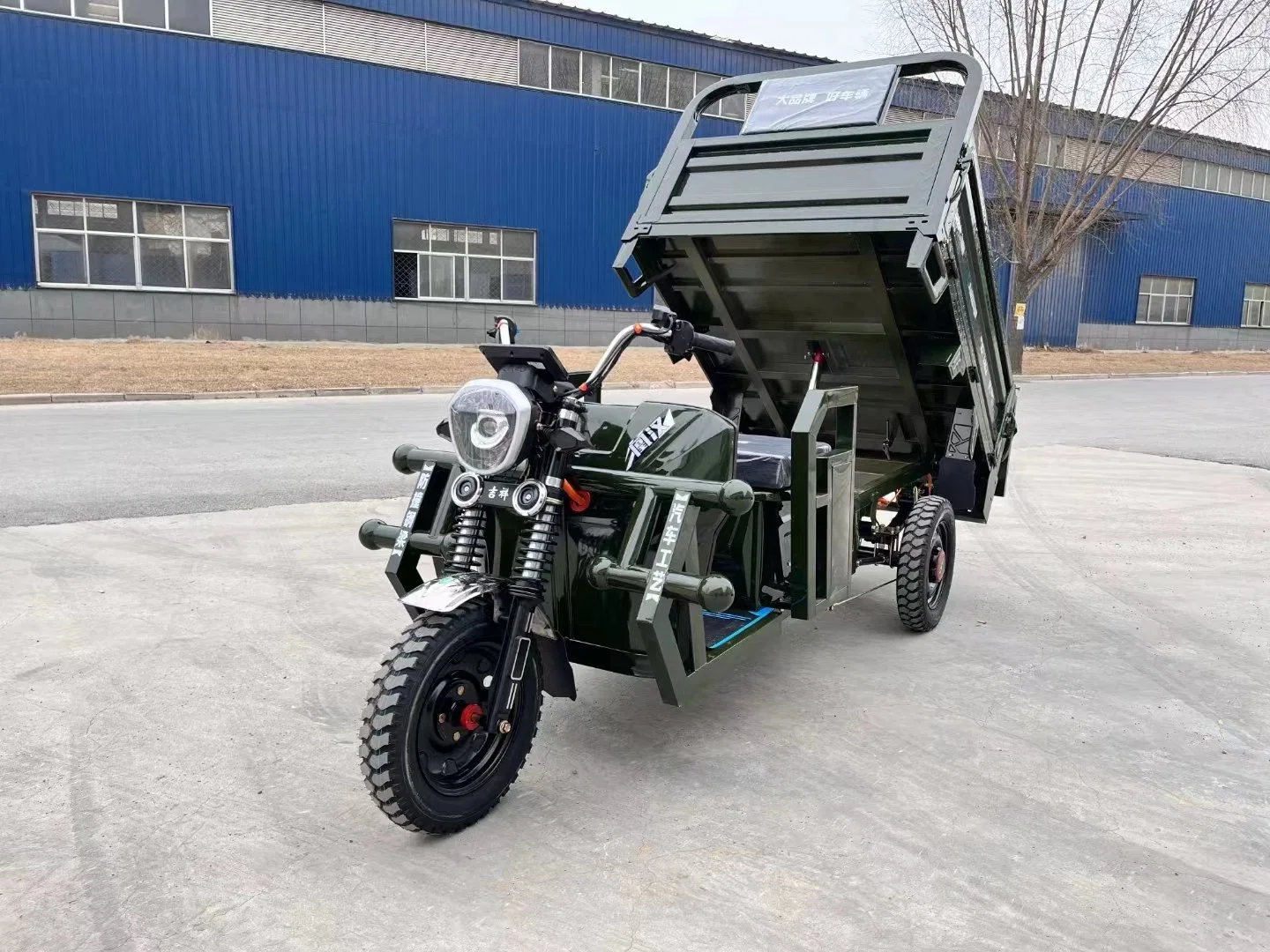 Lb 1500W Motorcycle with Three Wheels Electric Tricycle