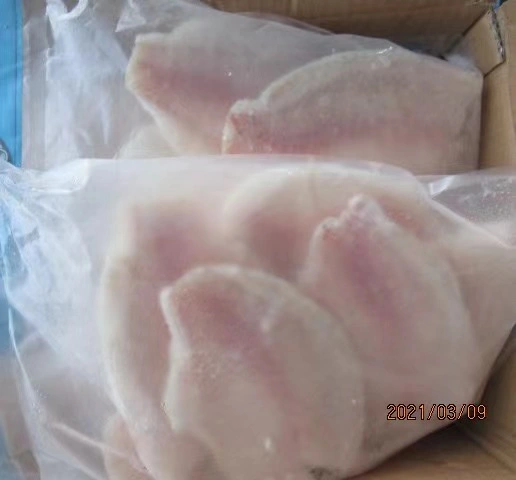 Frozen Tilapia Fillet Fish Sea Food