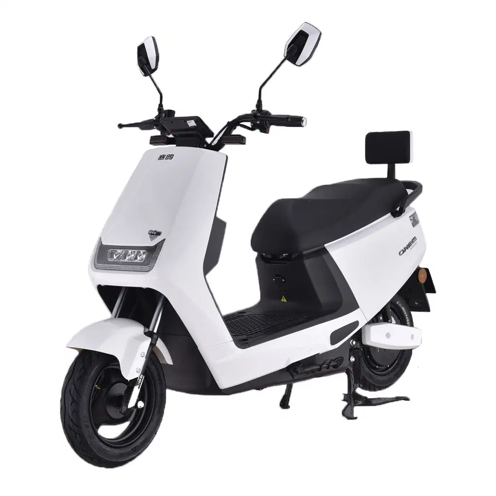 Saige EEC India Market N95 Carbon Steel Frame; Rear Disk Lead Acid Battery 60/72V -20-32ah 1000W30h Motor Electric 250cc Dirt Bike