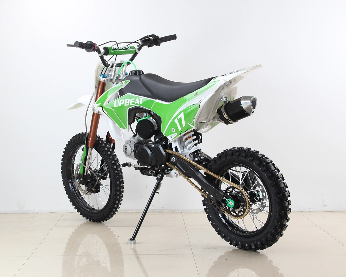 125cc Abt Engine Green New Cheap Electric Dirt Bike for Sale