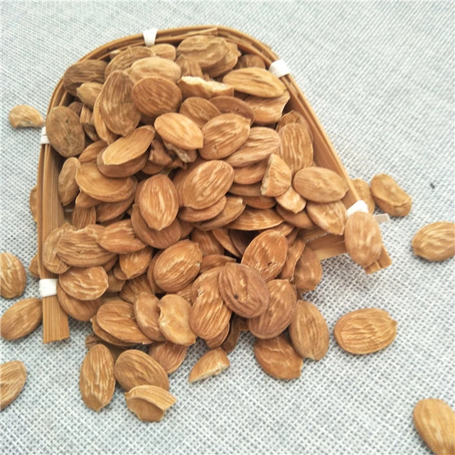 Tao ren Wholesale/Supplier dried peach kernel peach seeds for sale