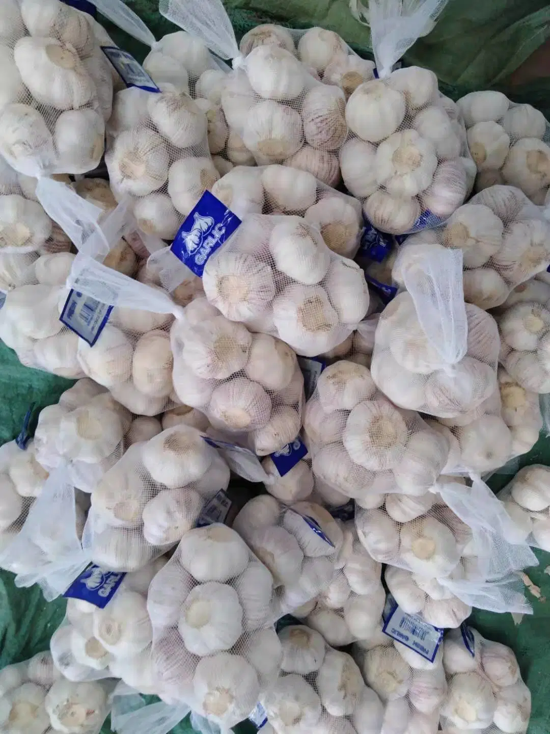 Fresh Small Pacakge White Garlic with High quality/High cost performance Standard