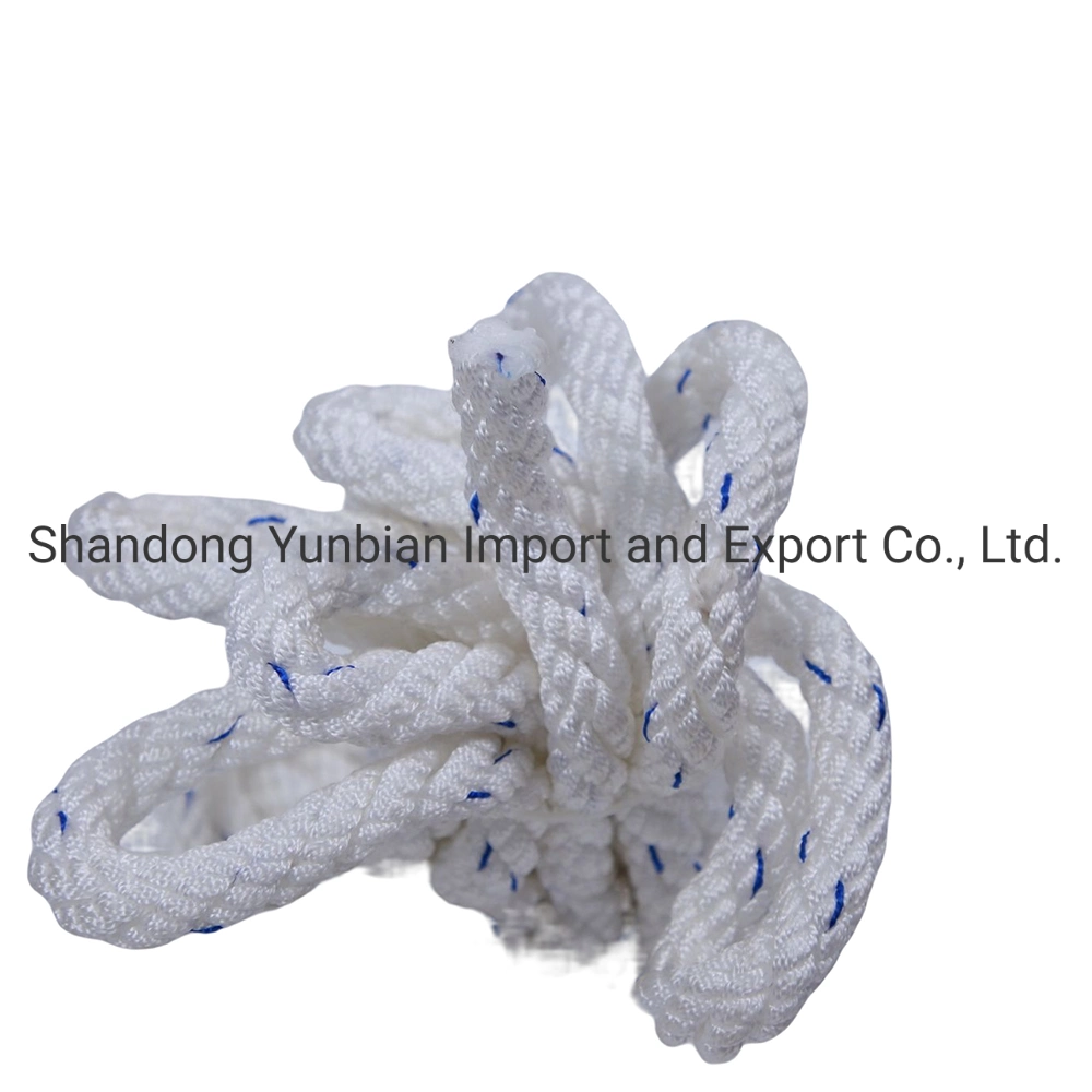 Outdoor Equipment 10mm-16mm Safety Polyester Climbing Rope