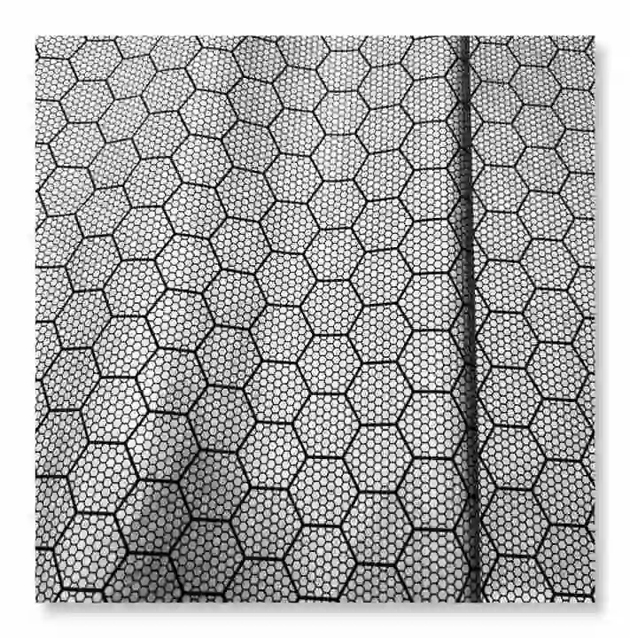 Hot Sell PU Conducting Electricity Heat Storage Printed Honeycomb Plaid 400t 100% Polyester Graphene Bronzing for Lining Fabric