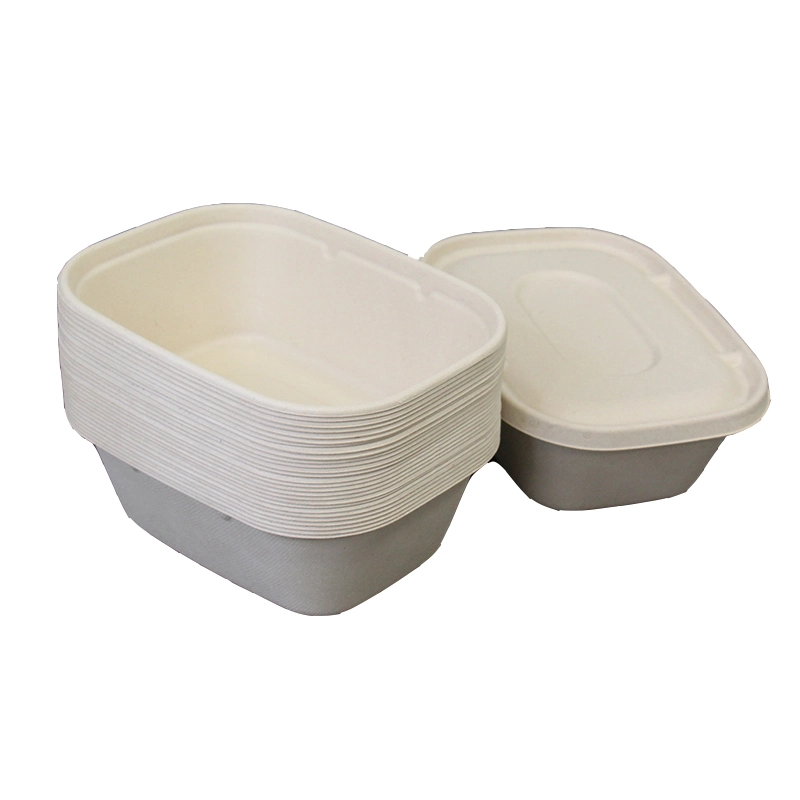 Watsonpak High-Quality Sustainable Chemical Free Microwave Safe Take Away Food Container Disposable Biodegradable Tableware