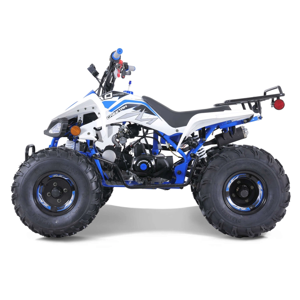 2023 Nueva moto Buggy ATV Quad 110cc 125cc ATV