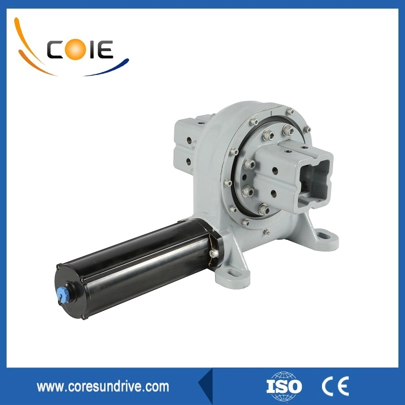 Vertical Worm Gear Drive Motor