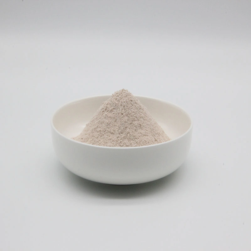 China Manufacturer Clostridium Butyricum Powder for Aquaculture Farms