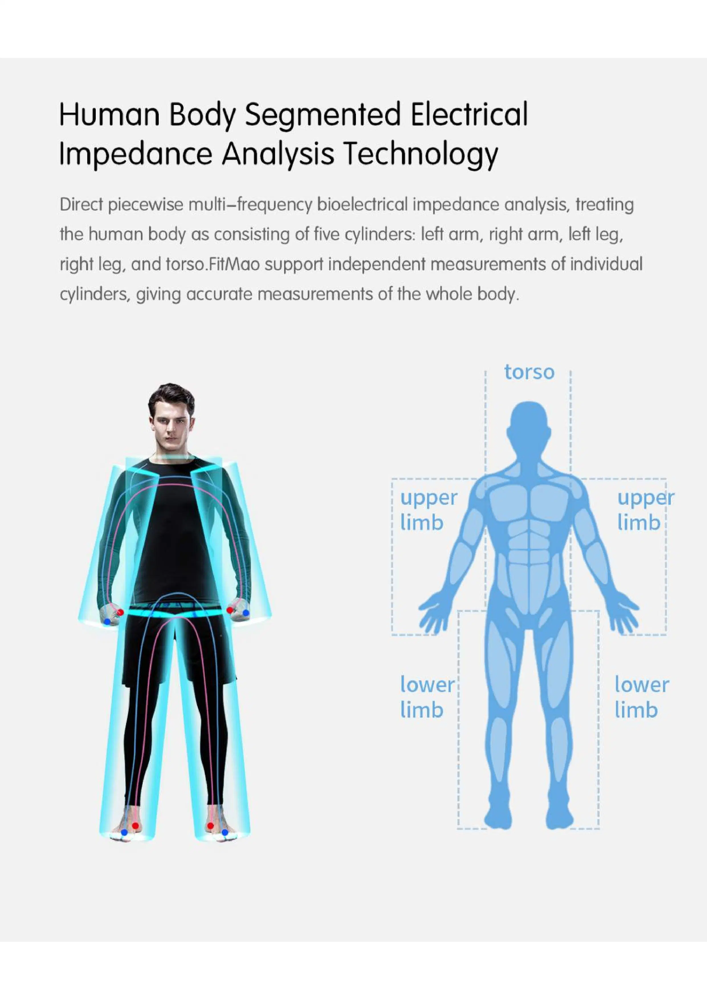 Masa corporal máquina de medición de masa muscular digital masa corporal músculos grasos