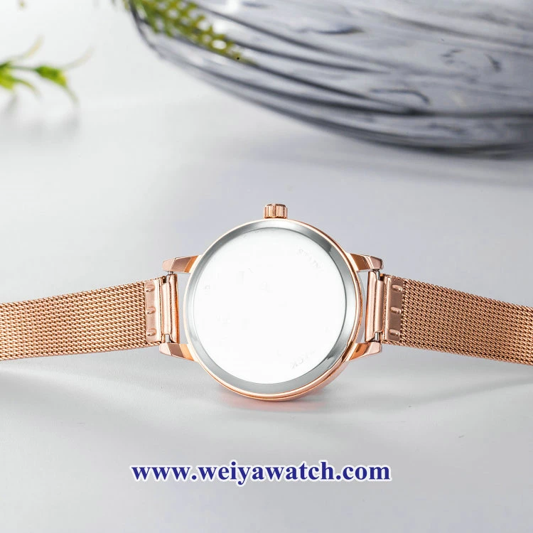 Mesh Alloy Strap Ladies Quartz Wist Watches, Lady Watch (WY-17035C)