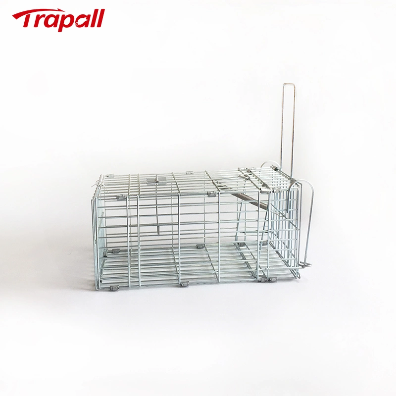 Humane Live Catch Mouse Metal Foldable Rat Animal Trap Cage