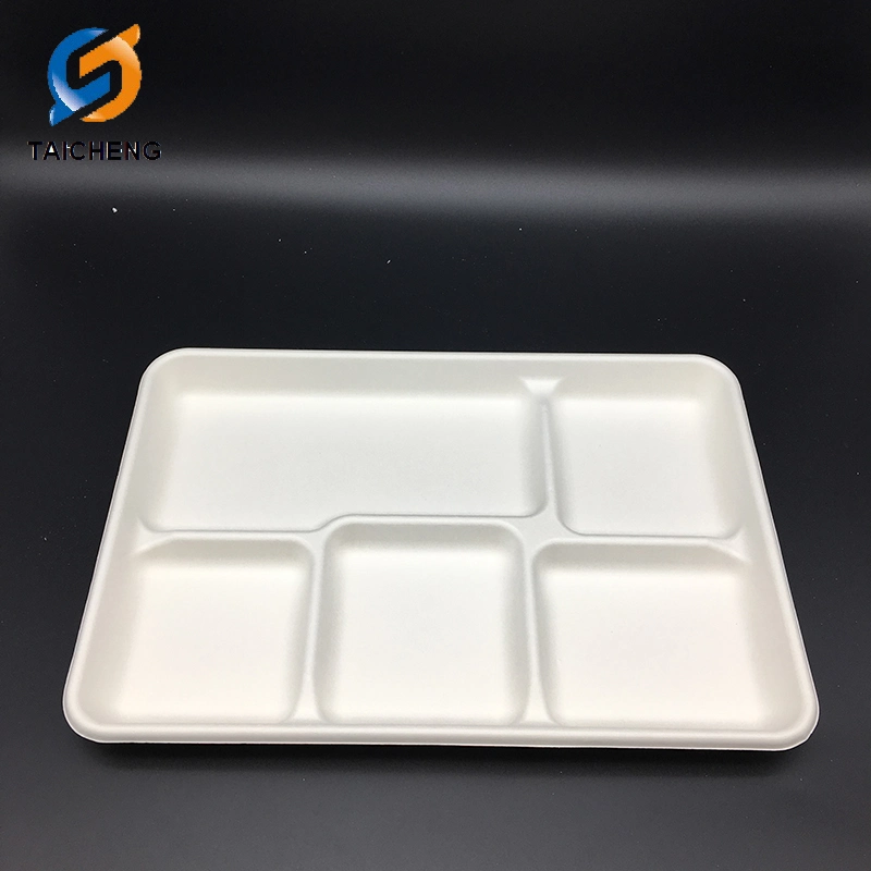 Compostable Bagasse 5cp School Tray for Food Packaging