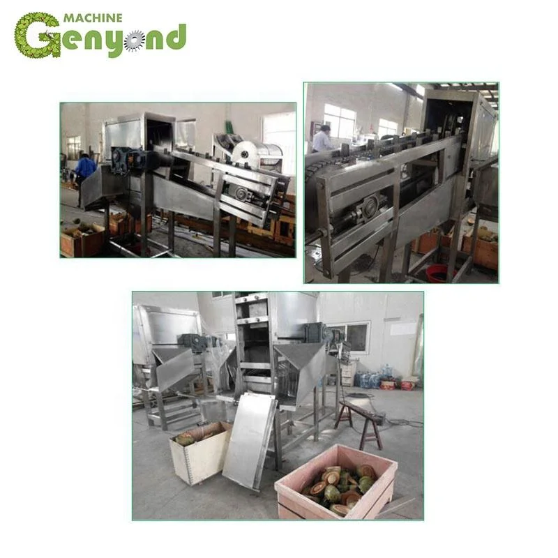 Automatic Aseptic Plastic Bag Coconut Milk Packing Machine for Milk Processing Line