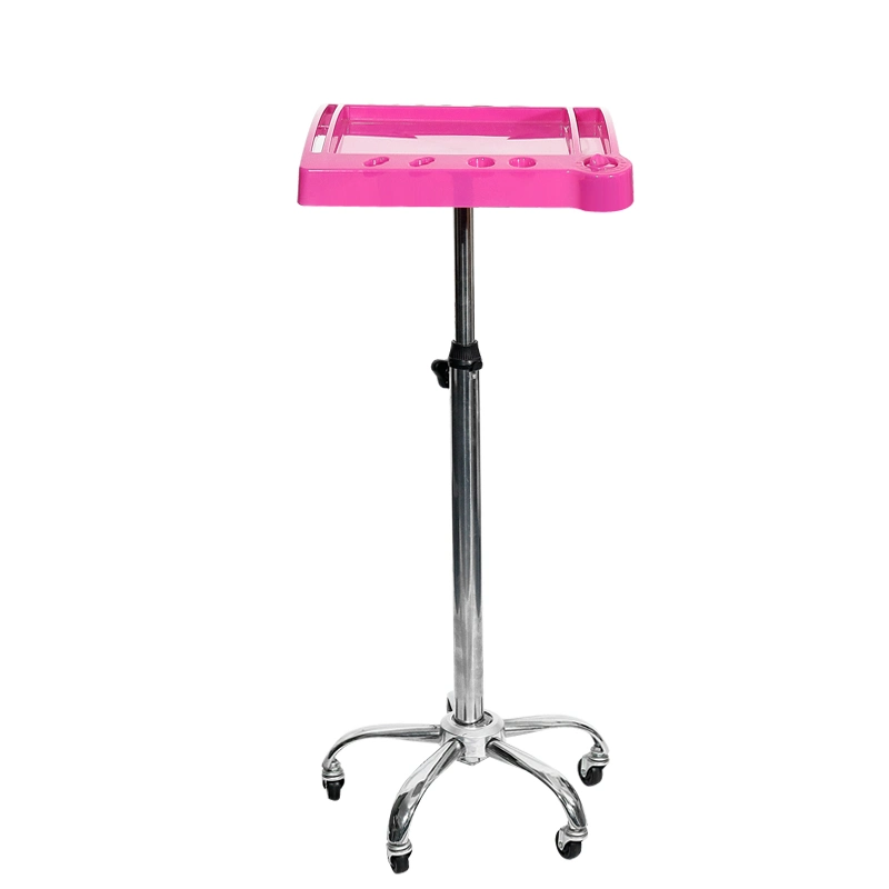 Beauty Salon Hair Dye Tool Cart with 5 Wheels Hair Extension Trolley