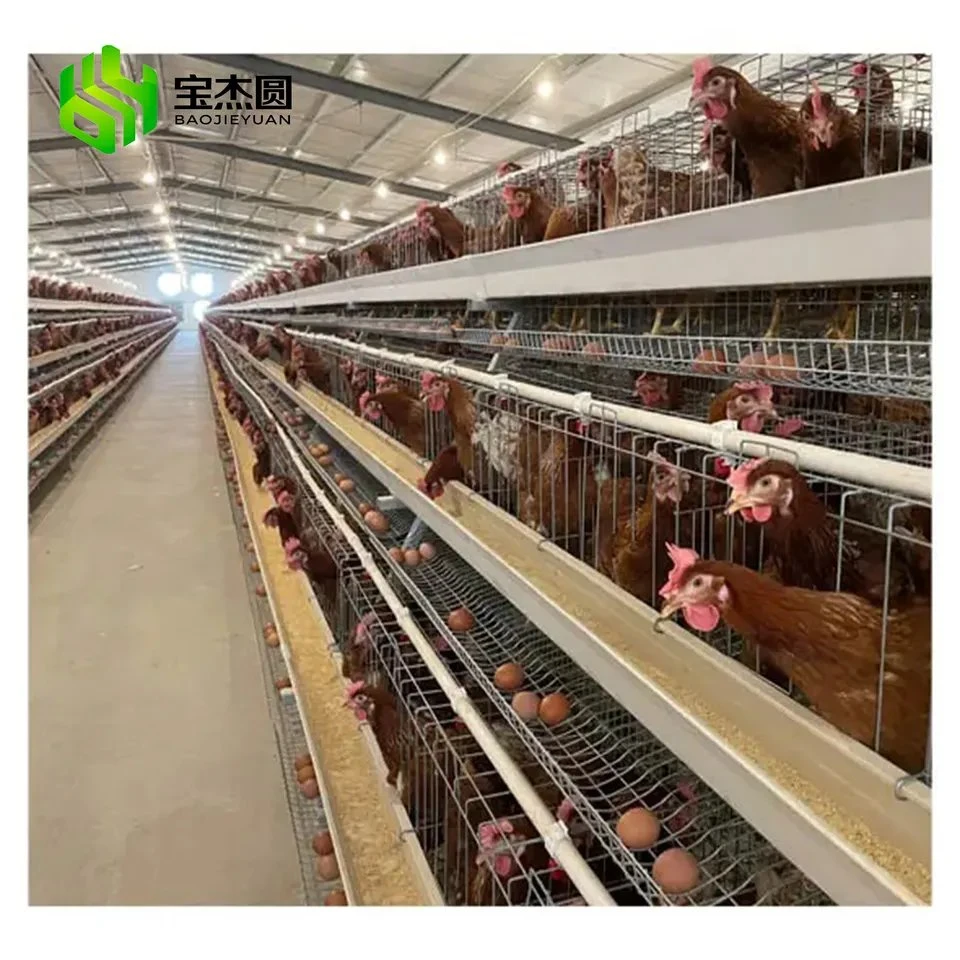 Poultry Farm Galvanized Egg Laying Hens Baterry Layer Automatic Chicken Cage