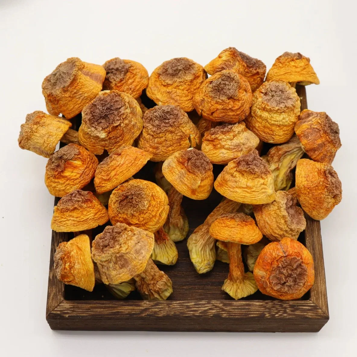 Wholesale/Supplier Nutritive Dried Agaricus Blazei Murill Mushroom Edible Fungus