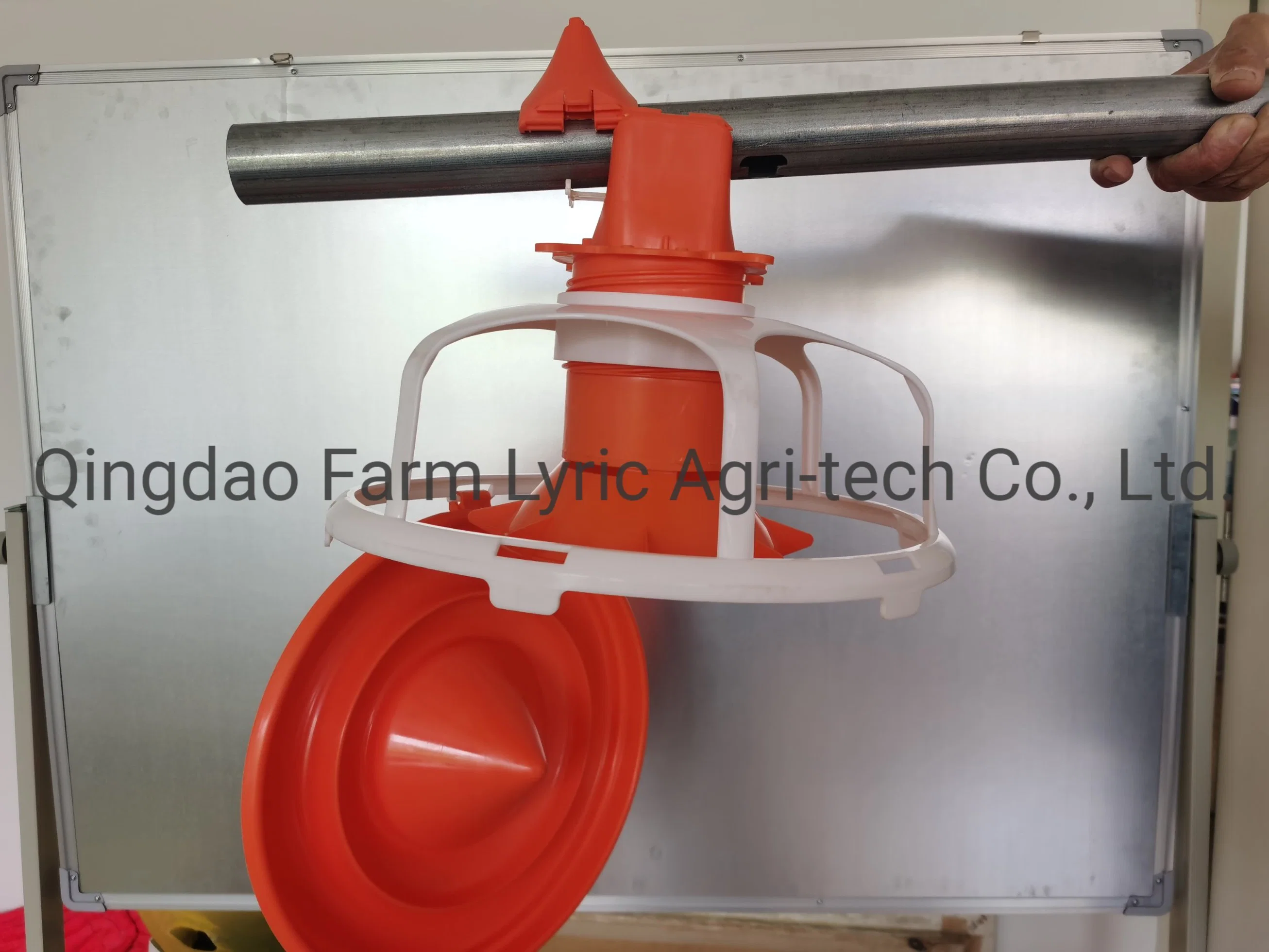 Wholesale Poultry Farm Equipment Quality PP Material Chicken Feeder