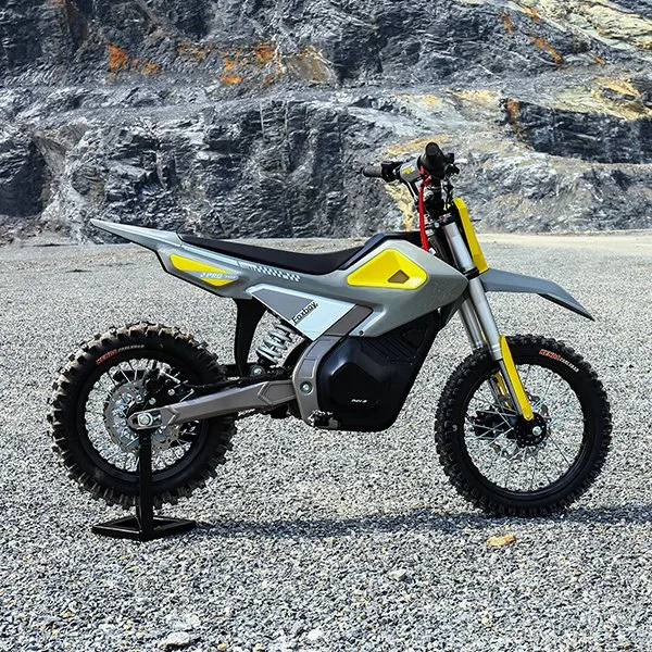 Electric Motorcycle Kids Electric Powerful Dirt Bike Pit Bike