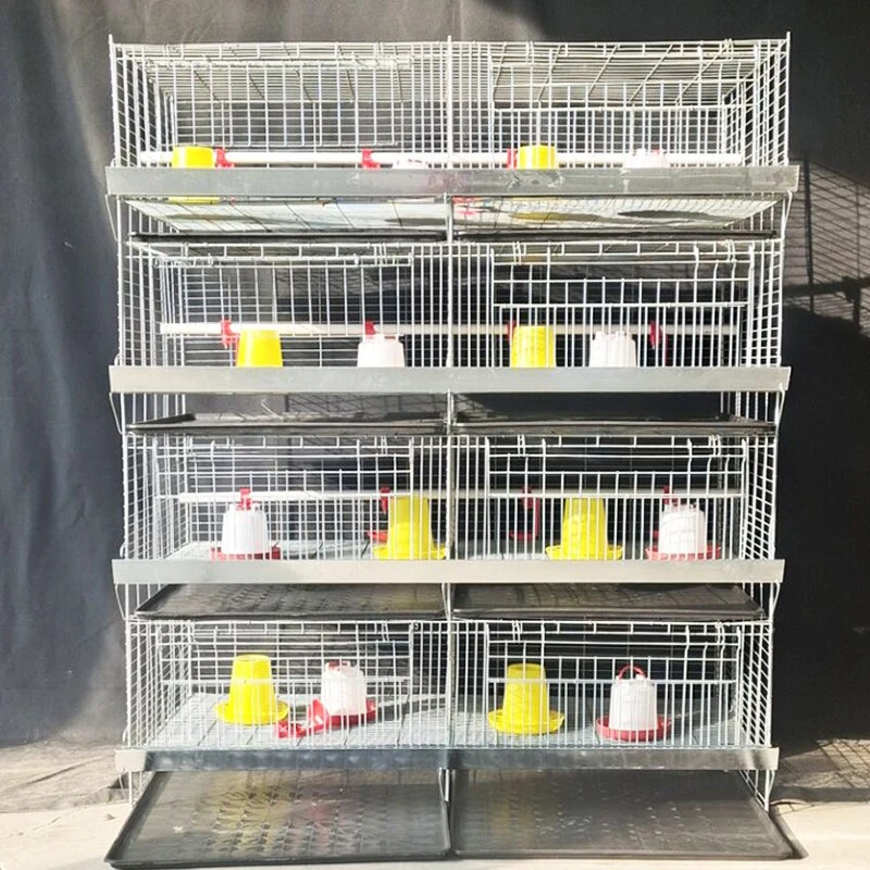 OEM Customized 3-12 Tiers Geflügel Landwirtschaft Ausrüstung H Typ Huhn Battery Layer Broiler Cages System Birds Layer Cage zum Verkauf