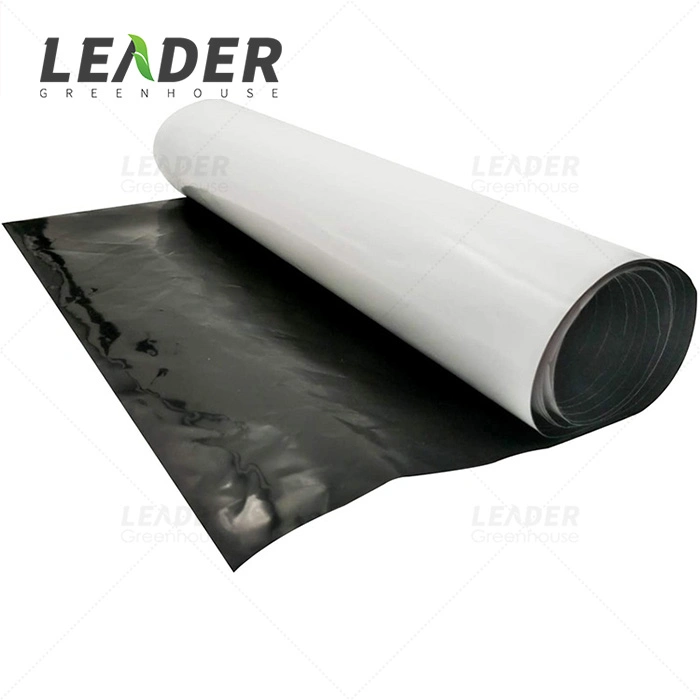 Good Quality Agricultural Plastic Greenhouse Plastic HDPE Film Mulch