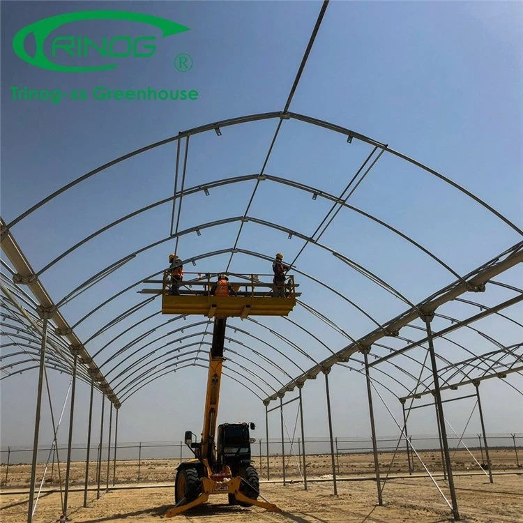 Professional Multi-Span Plastic Film Tunnel Green Houses with Shading System