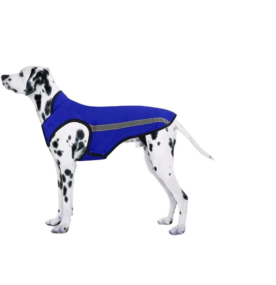 Custom Wholesale Luxury Winter Dog Clothes Pet Jacket Windproof Small and Big Dog Coat fashion Designer Dog Clothing