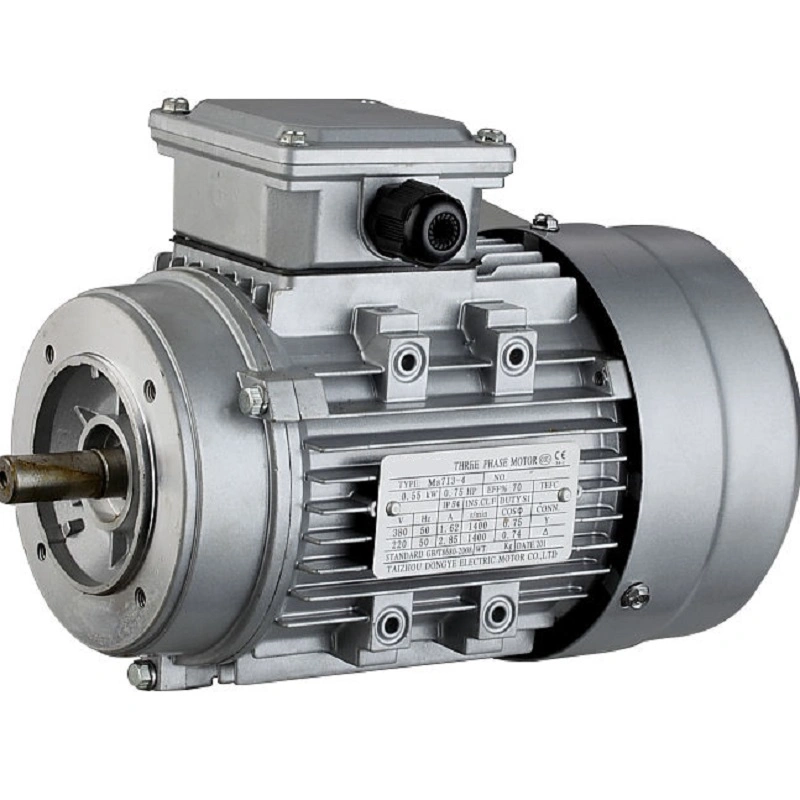 3 Phase Aluminum Shell Housing Induction AC Electric Motor